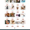 宠物用品 跨境电商独立站