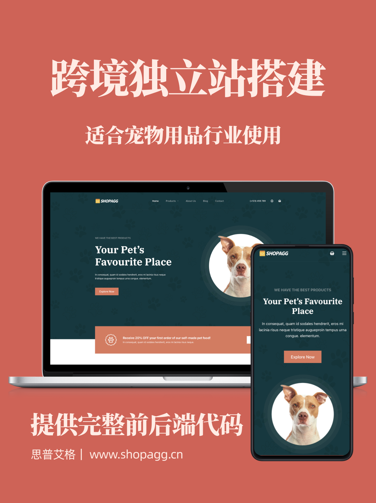 宠物用品 跨境电商独立站