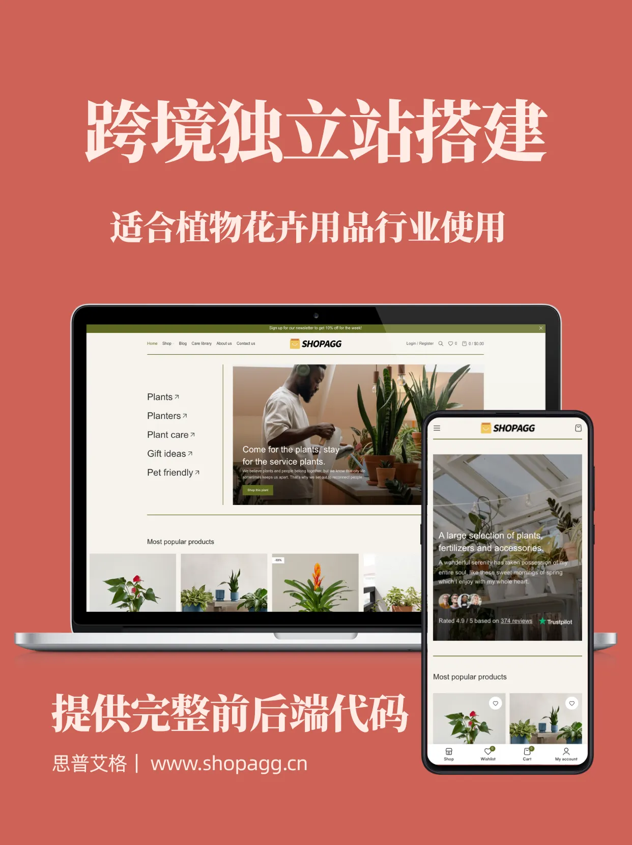 室内绿植生态农场有机蔬菜